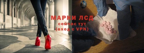 крисы Алзамай