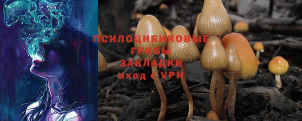 крисы Алзамай